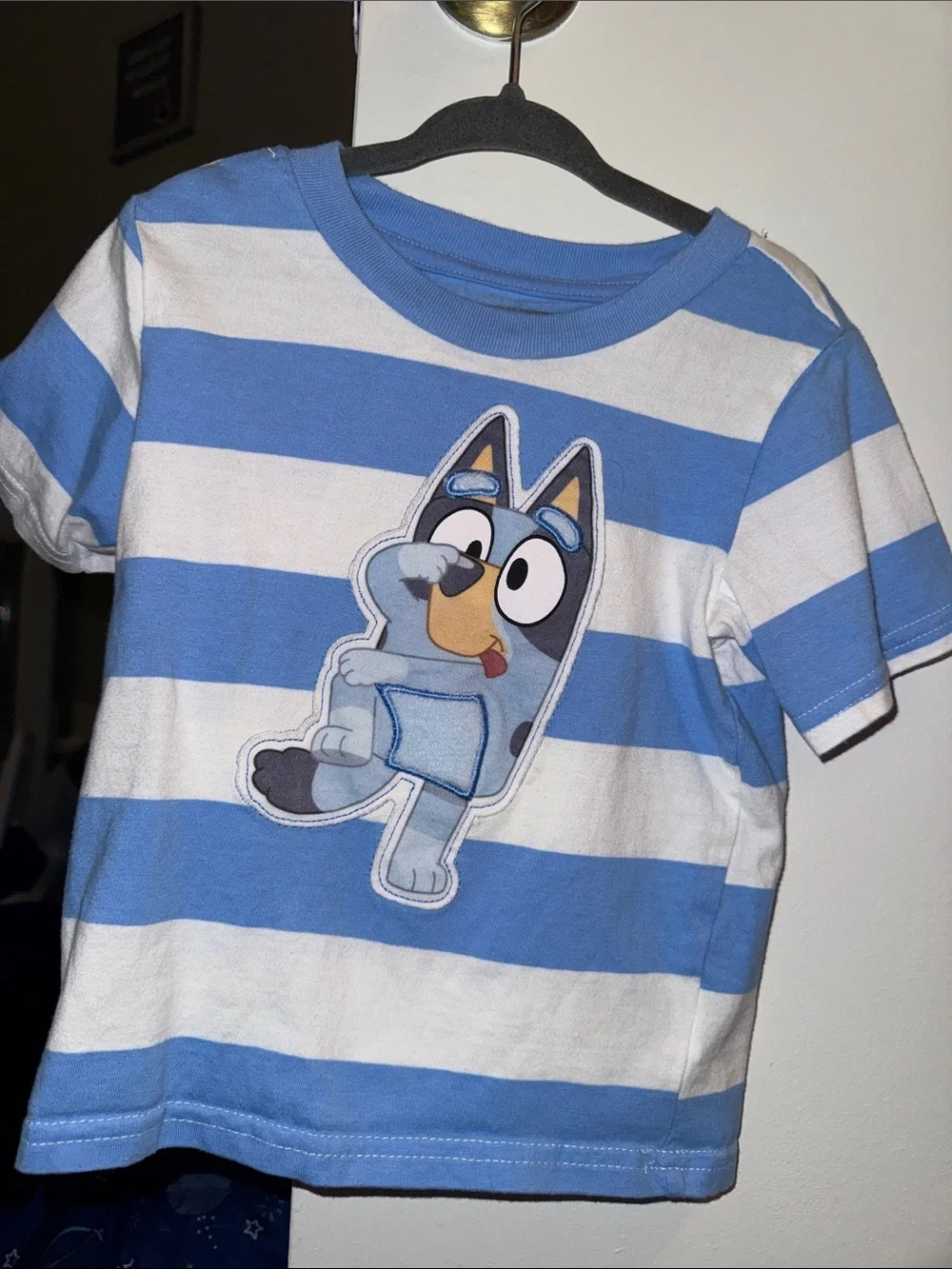 Bluey camp light blue